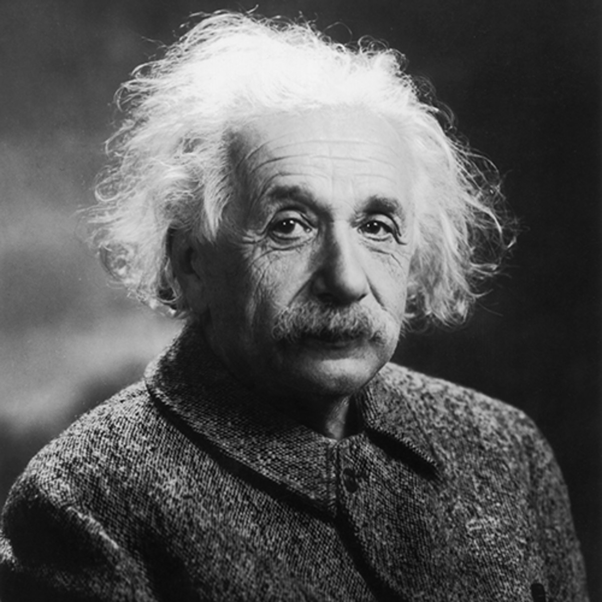 Einstein, Moster Quotables, Moster Craft
