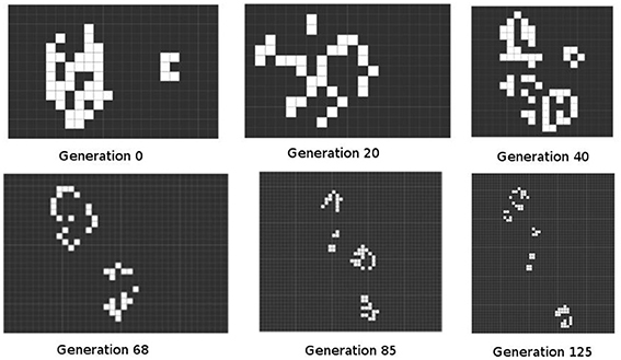 TEXAS SOFTWARE ATTORNEY PREDICTS NEXT GENERATION OF COMPUTER TECHNOLOGY